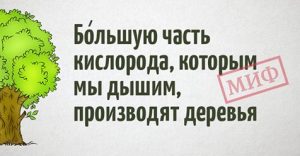 15 известнейших фактов, которые на самом деле являются заблуждениями