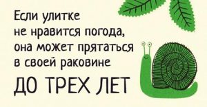 20 невероятных фактов о животных, которые как-то даже в голове не укладываются