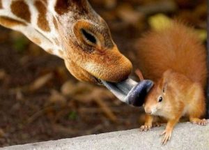 Снимки, которые зарядят Вас позитивом!