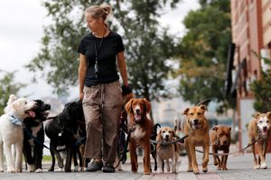 Очень необычные профессии!